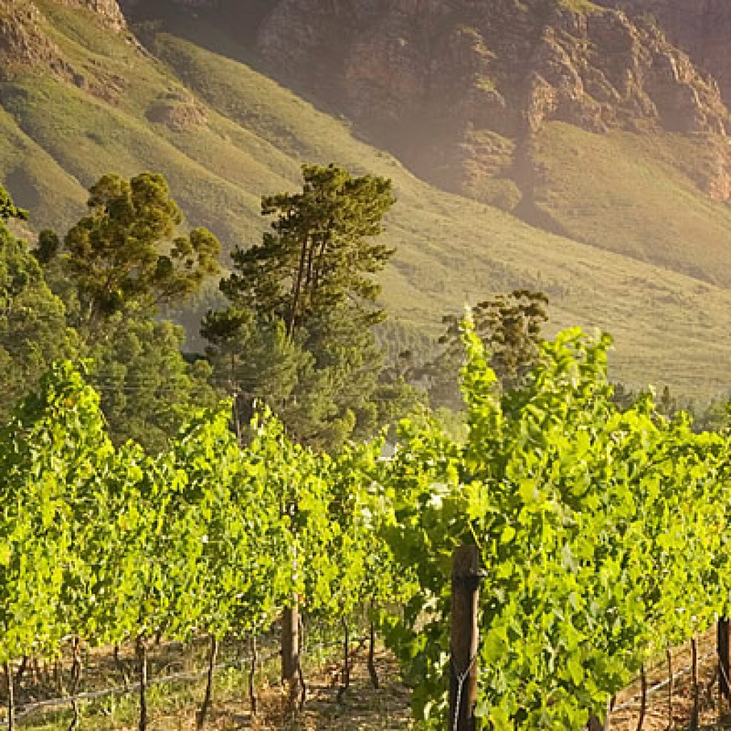 South African Winery Venues COnferences