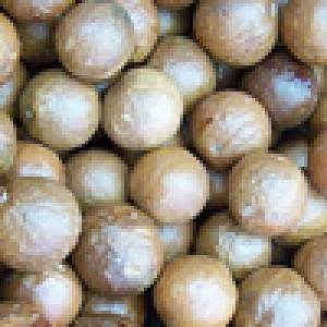 Going Africa Conferencing | Agricultural Conference Planners - Macadamia Farmers