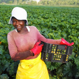 Going Africa Conferencing | Agricultural Conference Planners - Agriculture