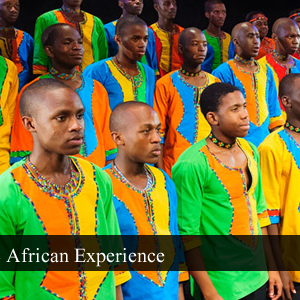 African Experience