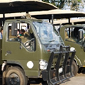 Kruger National Park Game Drives, Entertainment, guest/delegate relations & things to do