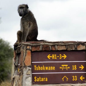 Kruger National Park