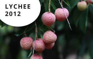Lychee 2012 conference organised by Via Africa Conferencing and events planning / Event planners services in South Africa.