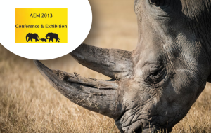 AEM 2013 Conference and exhibition organised by Via Africa Conferencing and events planning / Event planners services in South Africa.