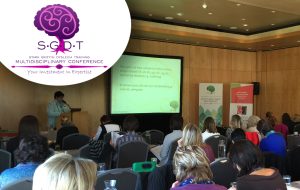 SGDT organised by Via Africa Conferencing and events planning / Event planners services in South Africa.