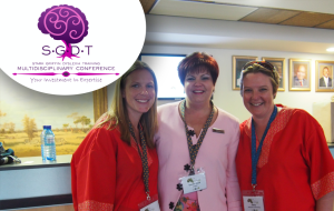 SGDT organised by Via Africa Conferencing and events planning / Event planners services in South Africa.