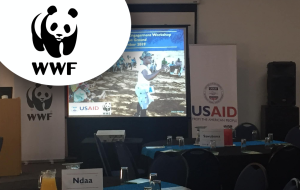 WWF Conference 2019 organised by Via Africa Conferencing and events planning / Event planners services in South Africa.
