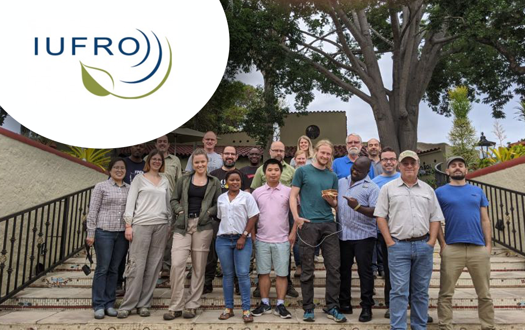 IUFRO 2018 organised by Via Africa Conferencing and events planning / Event planners services in South Africa.